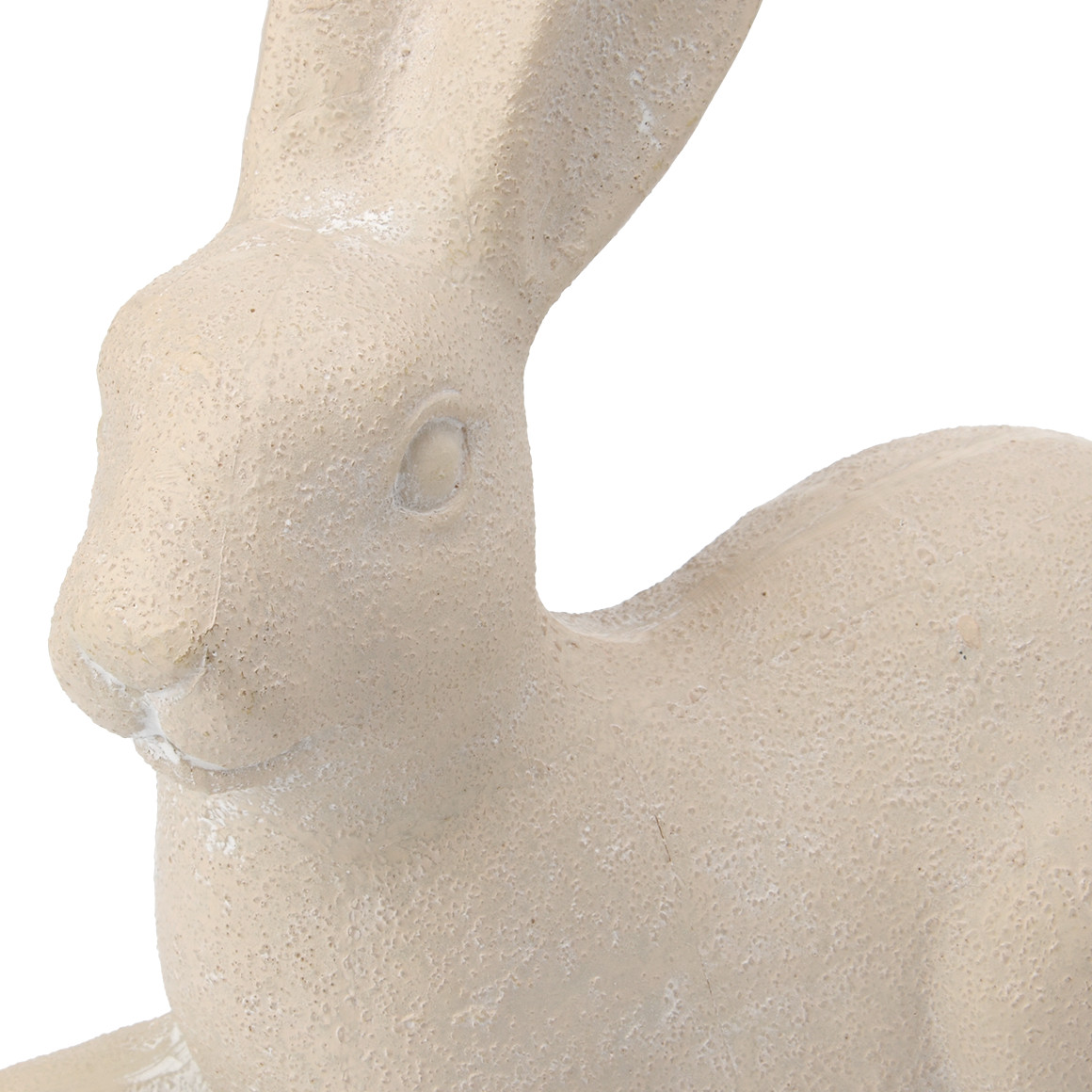 Decoratieve haas in natuurlook