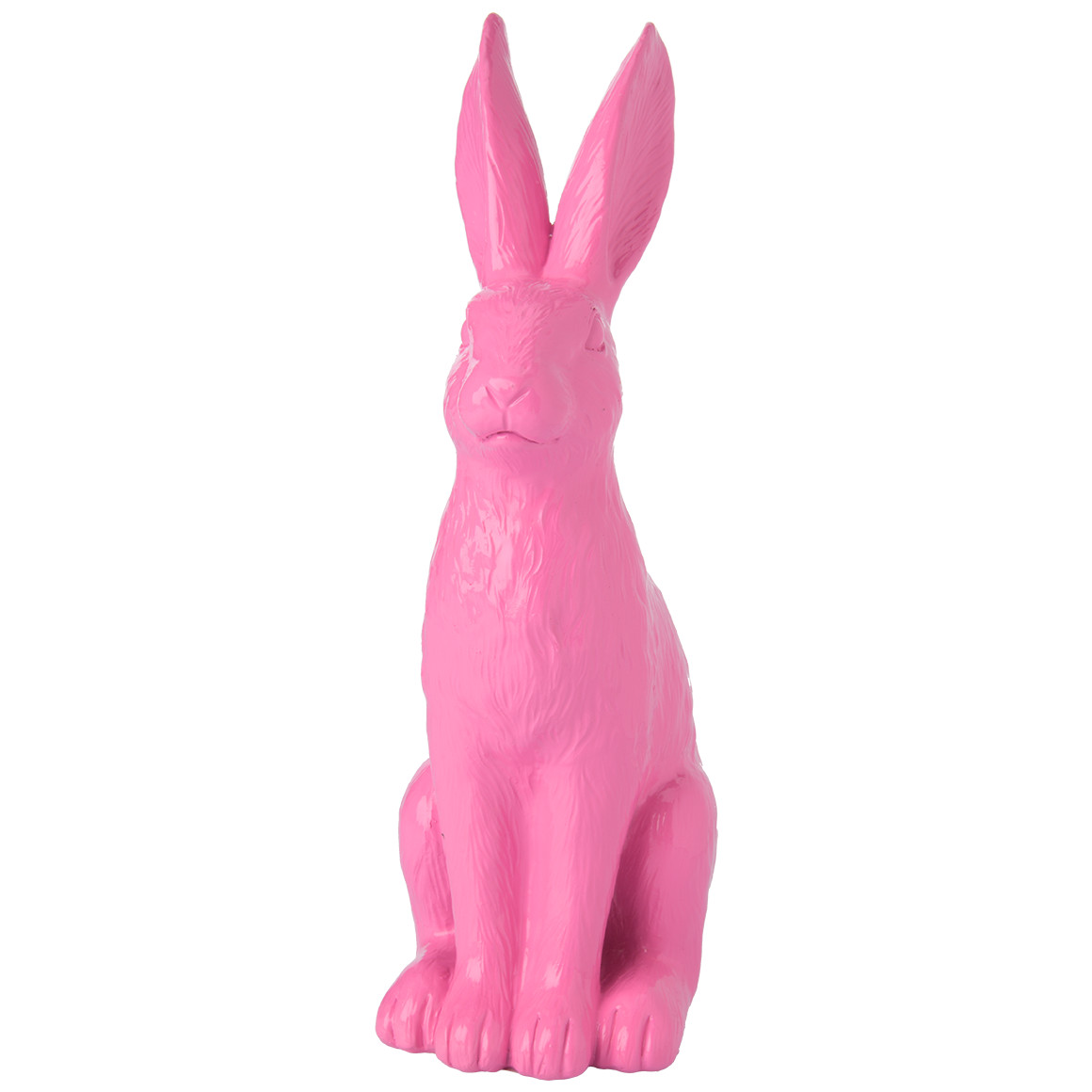 Decohaasje in felle kleur