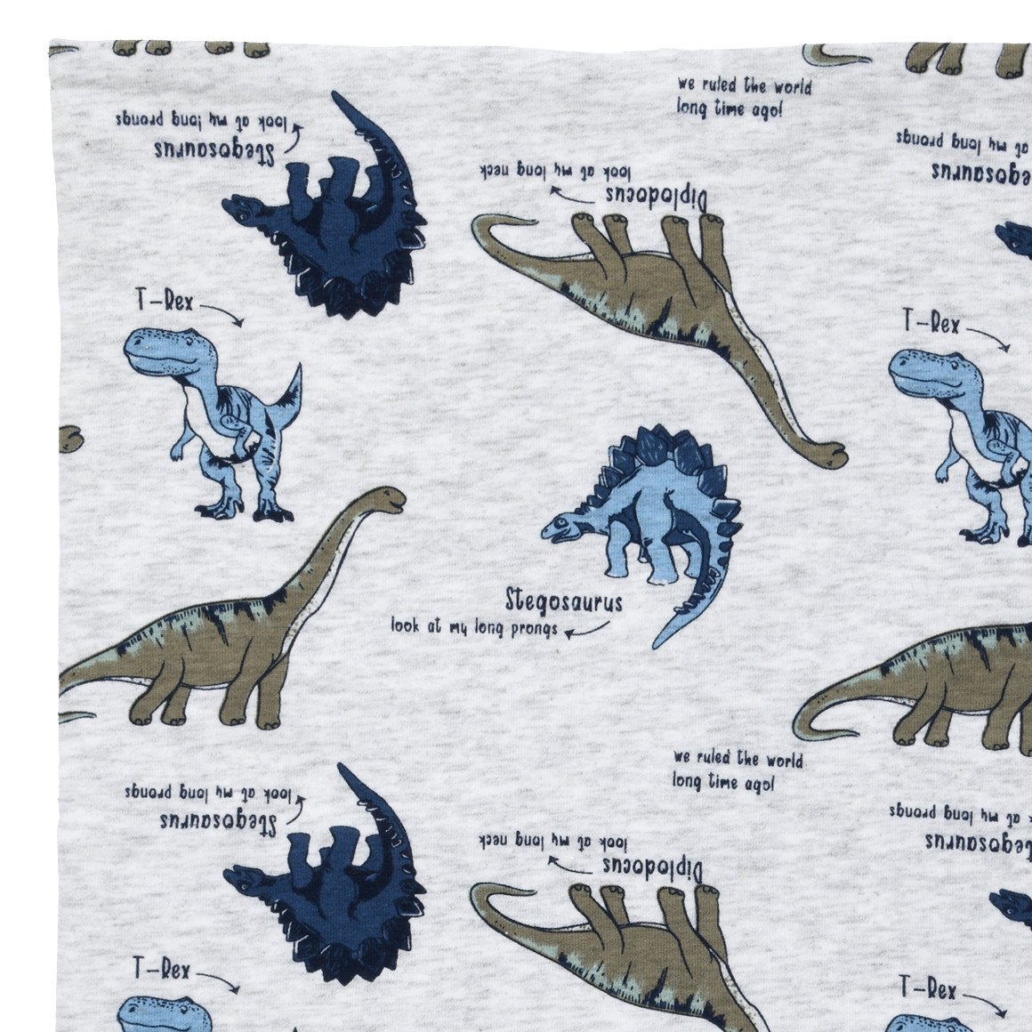 Jungen Snood mit Dino-Allover