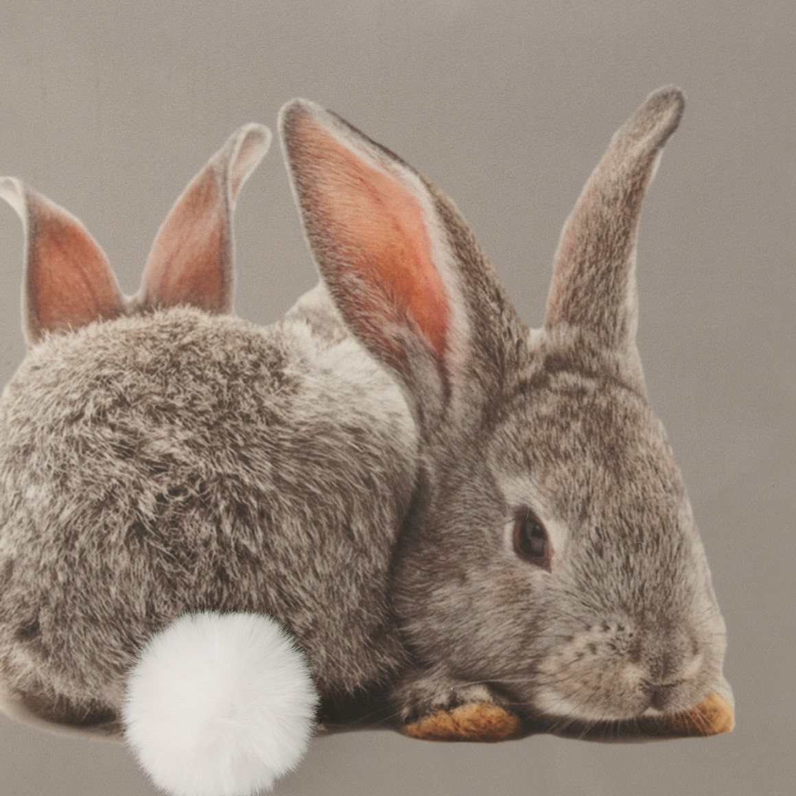 Kussen met haasjesmotief