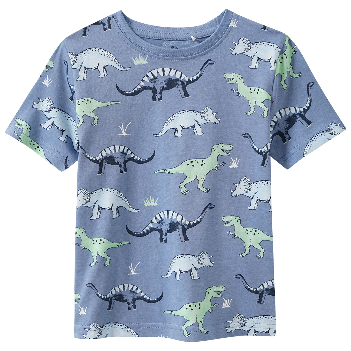 Jungen Set mit T-Shirt und Shorts
