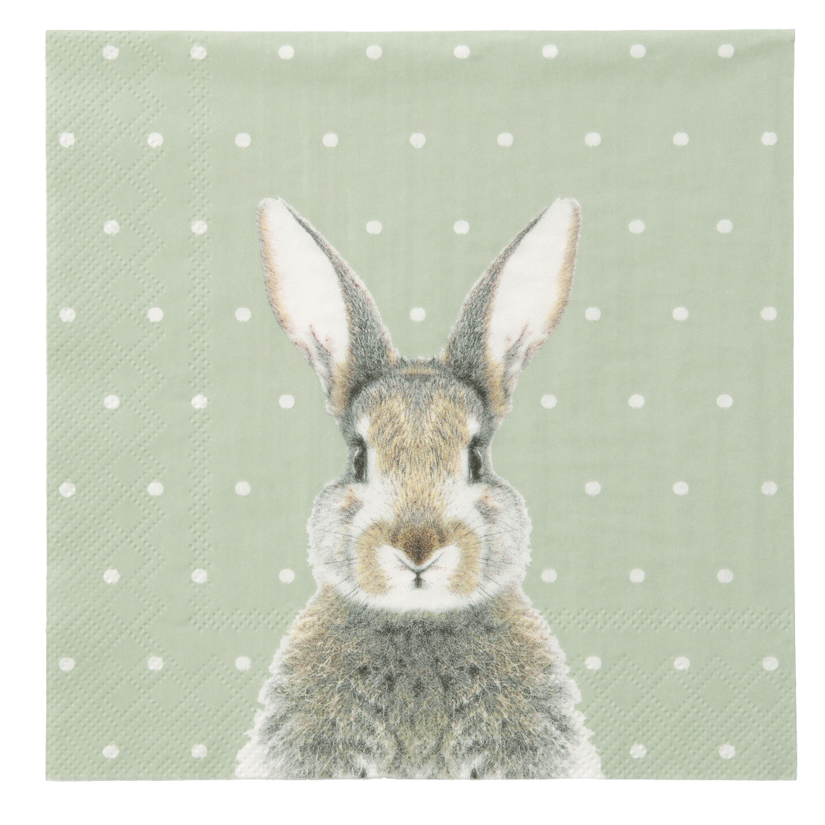 20 servetten in paaslook