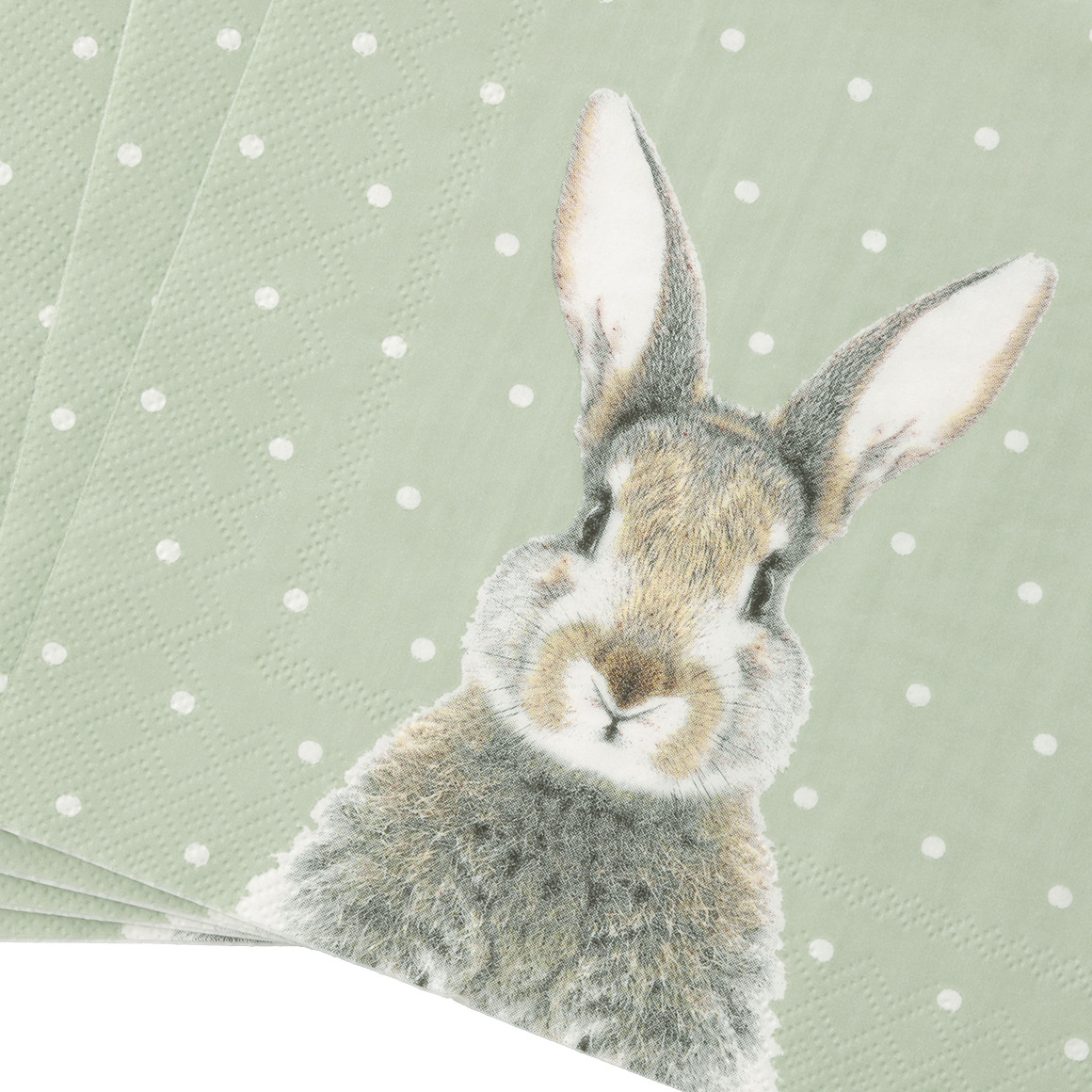 20 servetten in paaslook