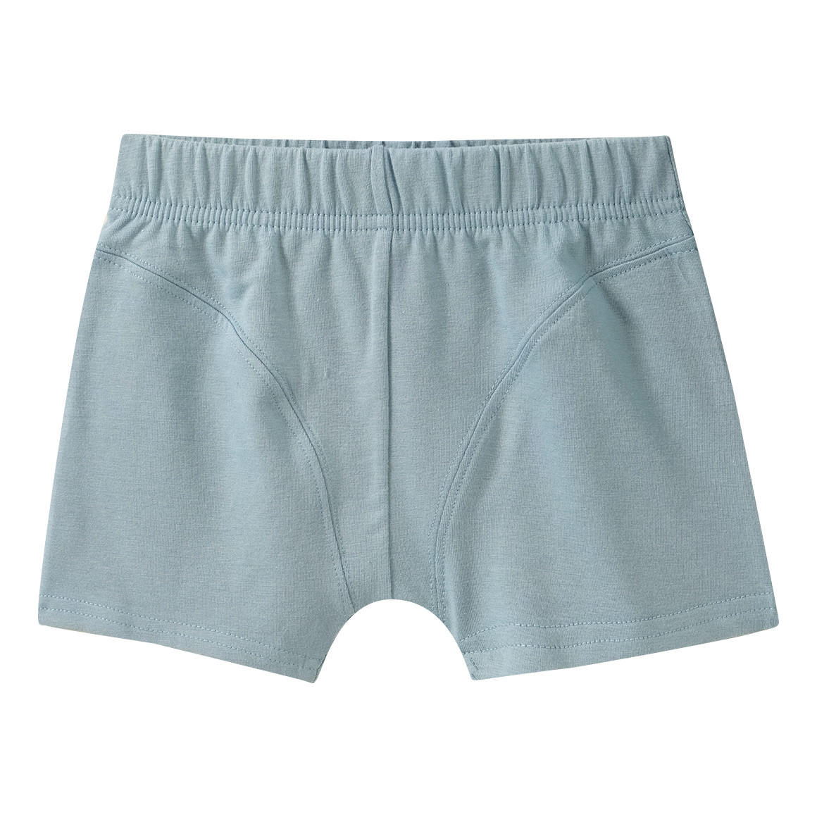 7 Jungen Boxer im Set