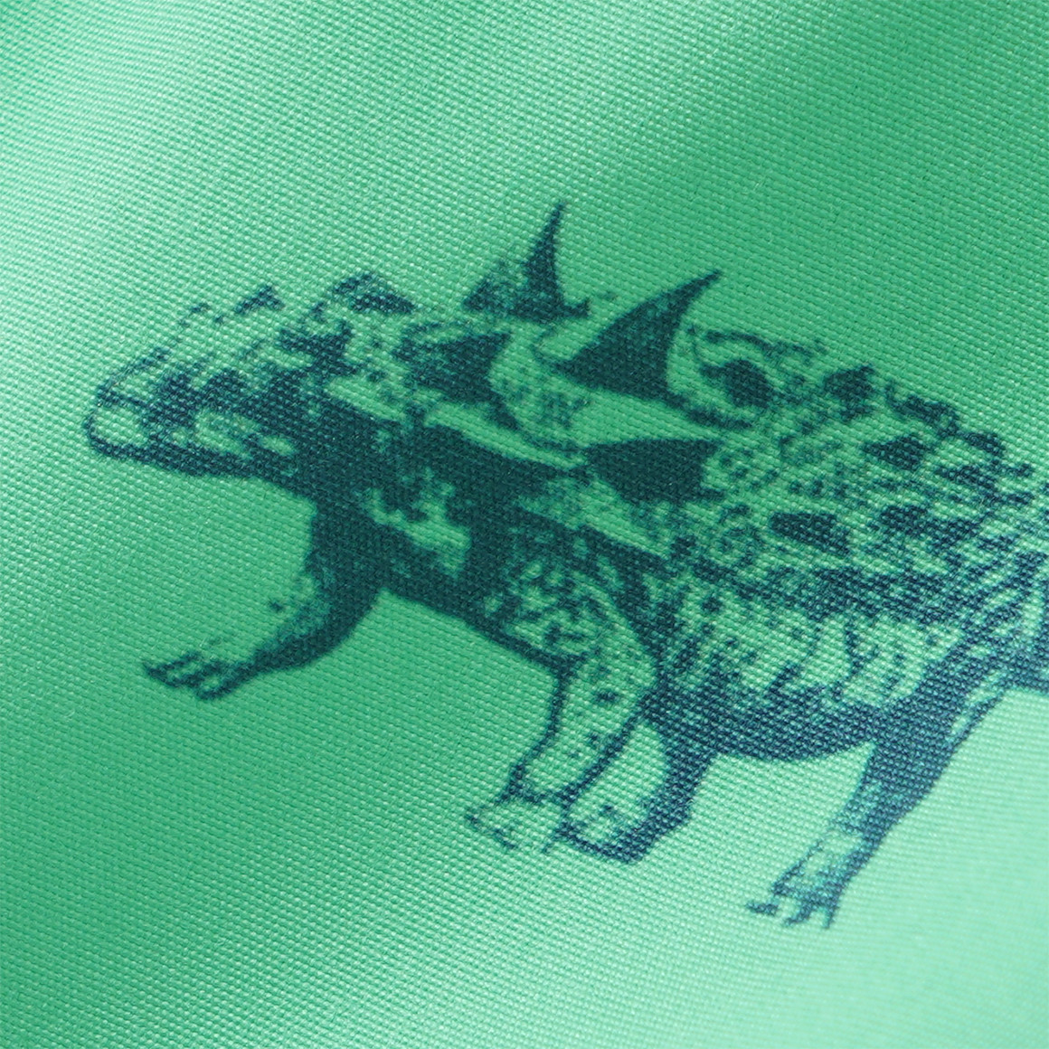 Jungen Badeshorts mit Dino-Motiven 
