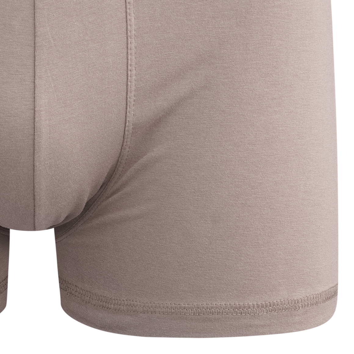 Herren Retroshorts mit Webbund