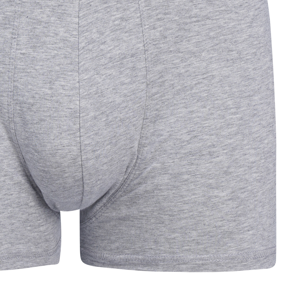 Herren Retroshorts mit Webbund
