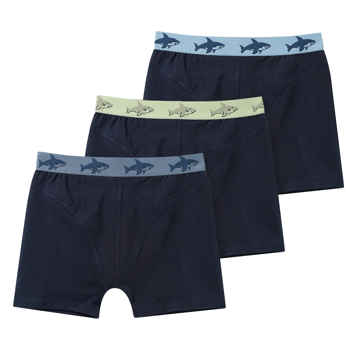 3 Jungen Boxer mit Webbund