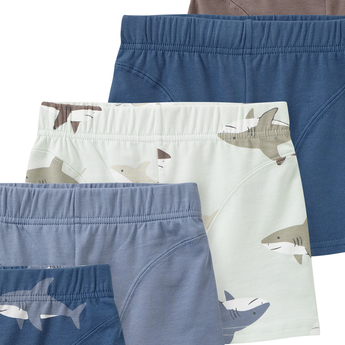 5 Jungen Boxer mit Hai-Motiven