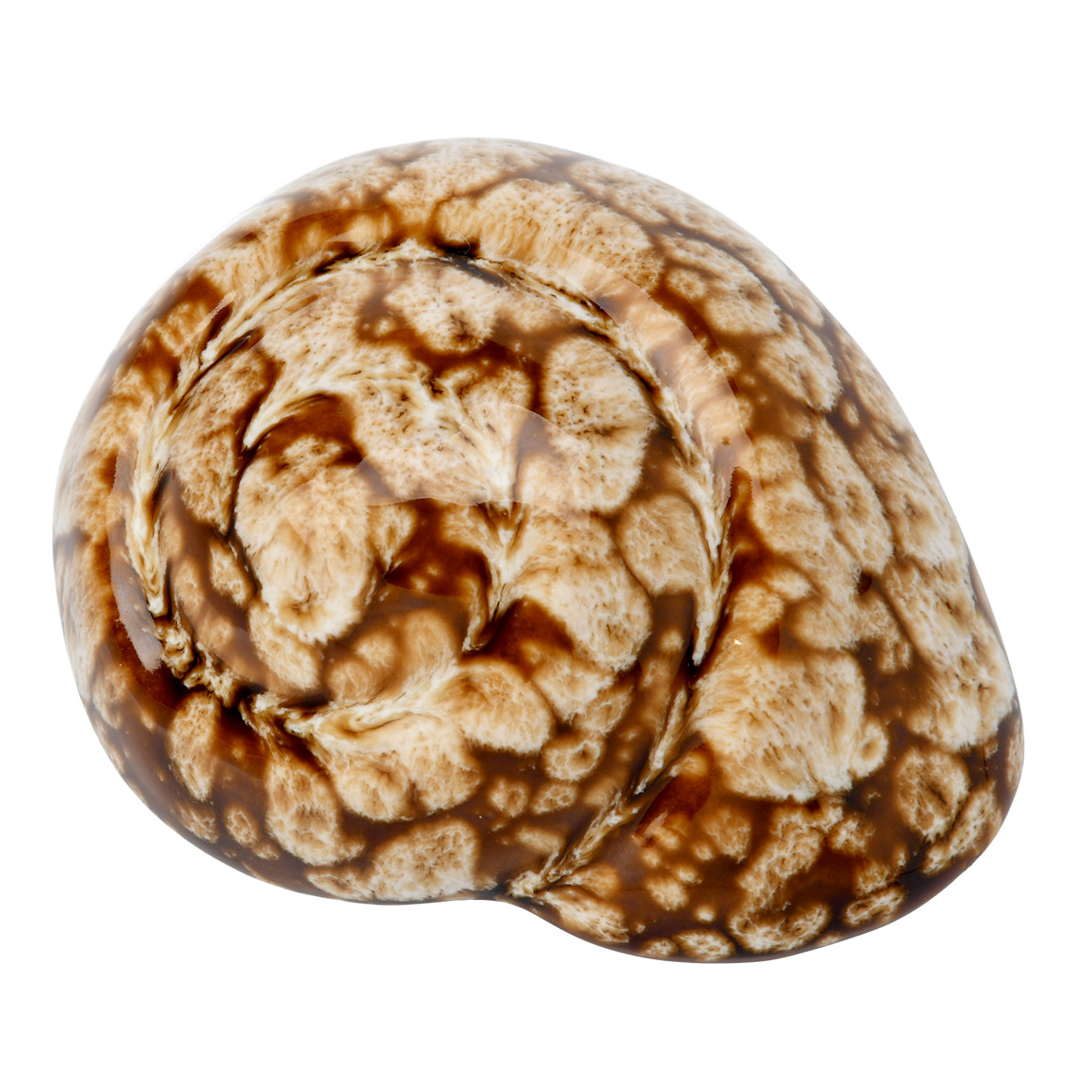 Dekofigur Muschel mit Farbverlauf