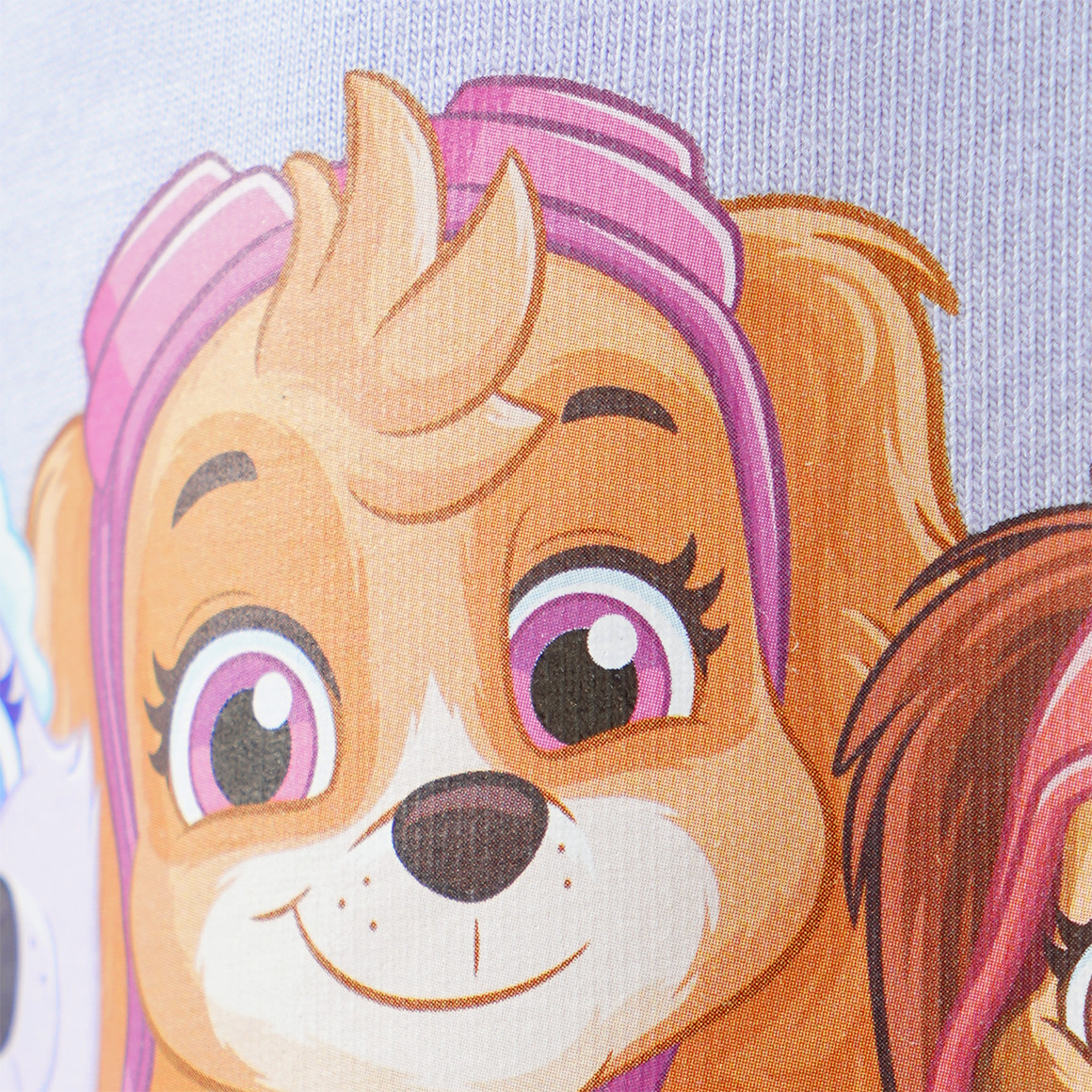 PAW Patrol T-Shirt mit Front-Print
