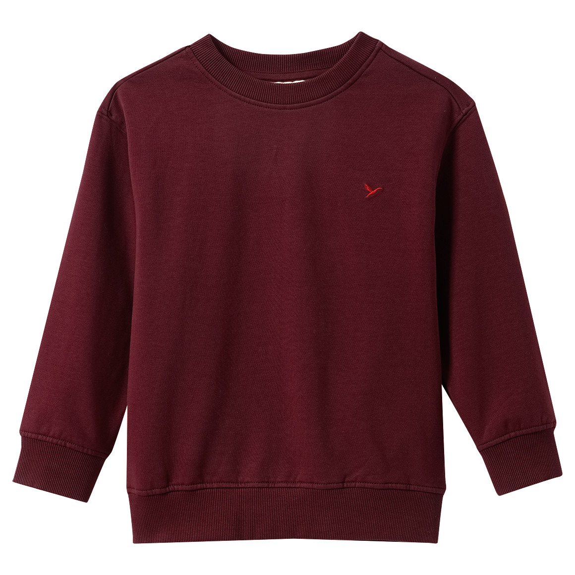 Jungen Sweatshirt mit Stickerei