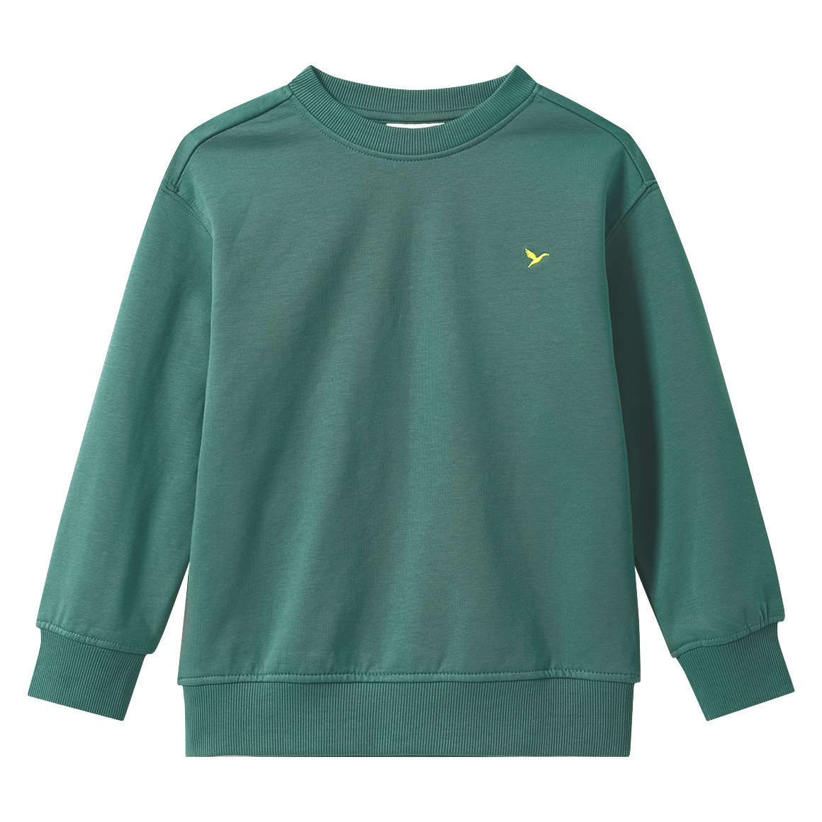 Jungen Sweatshirt mit Stickerei
