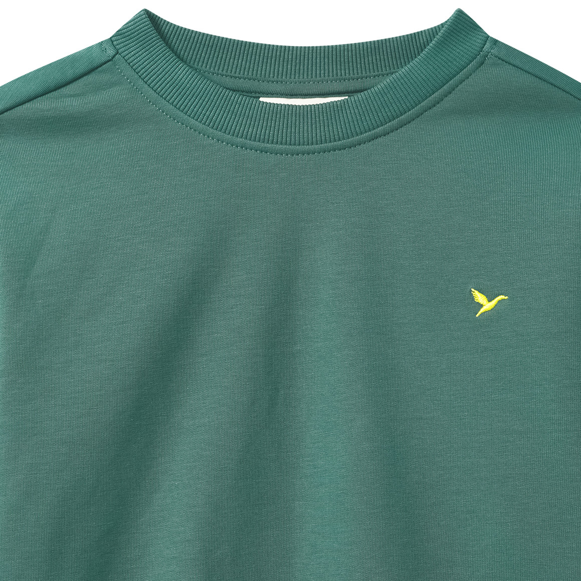 Jungen Sweatshirt mit Stickerei