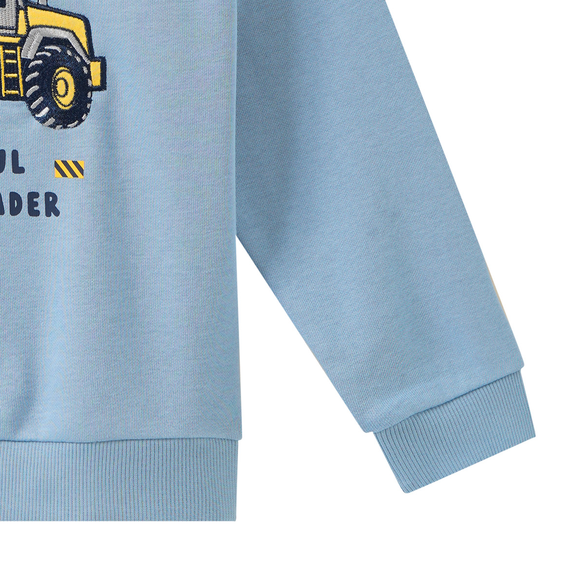 Jungen Sweatshirt mit Applikation