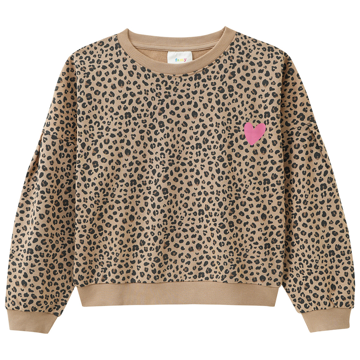 Mädchen Sweatshirt mit Leo-Print