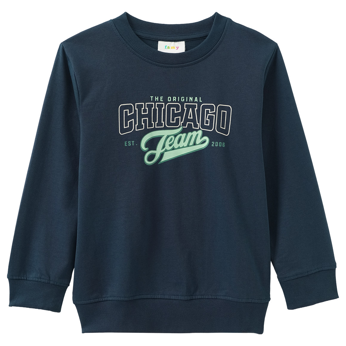 Jungen Sweatshirt mit Print
