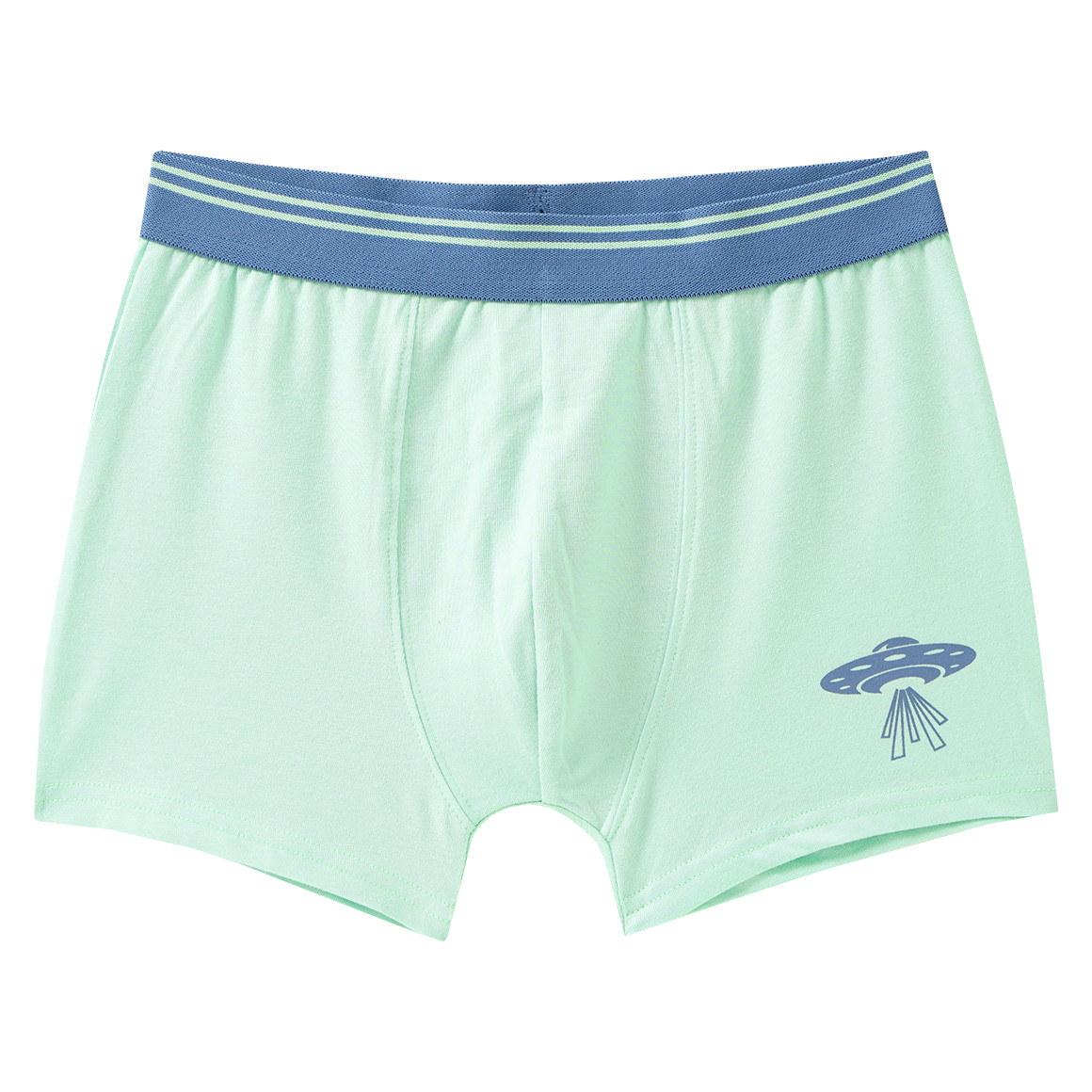 5 Jungen Boxer im Set