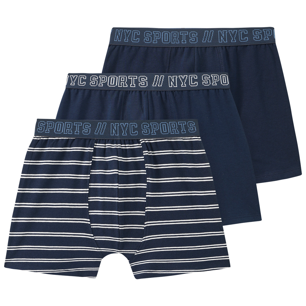 3 Jungen Boxer mit Webbund