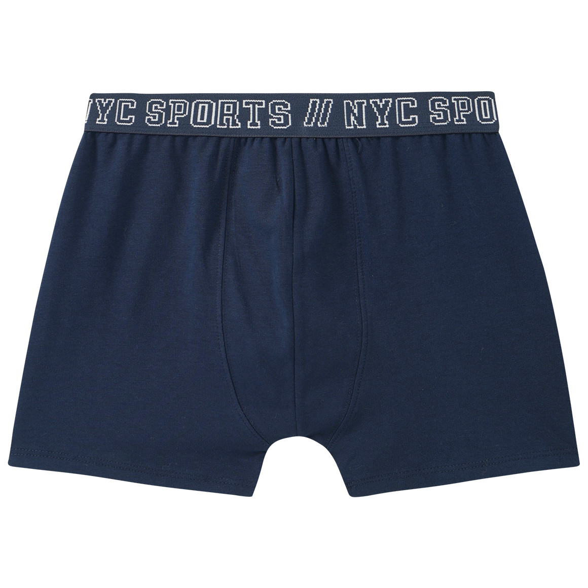 3 Jungen Boxer mit Webbund