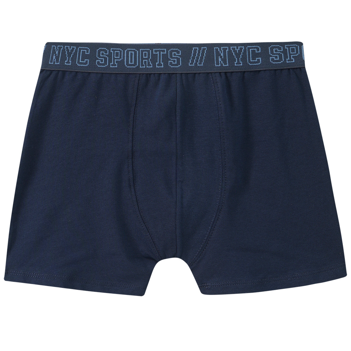 3 Jungen Boxer mit Webbund
