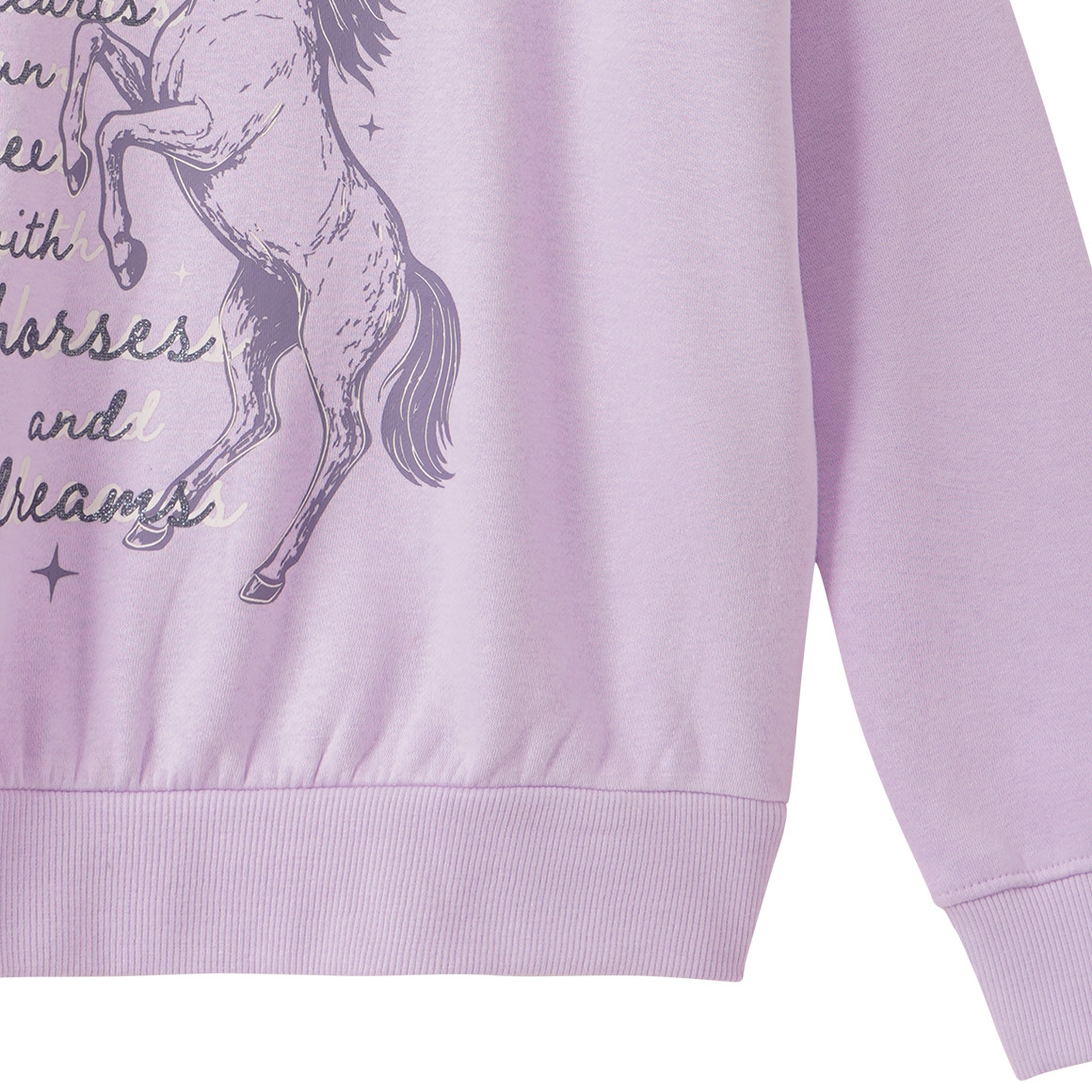 Mädchen Sweatshirt mit Pferde-Motiv