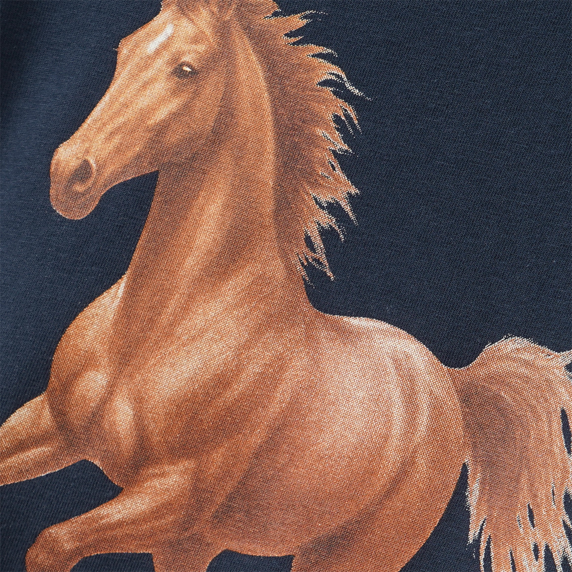 Mädchen Langarmshirt mit Pferde-Motiv