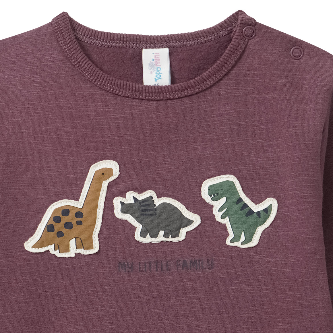 Baby Sweatshirt mit Dino-Applikation