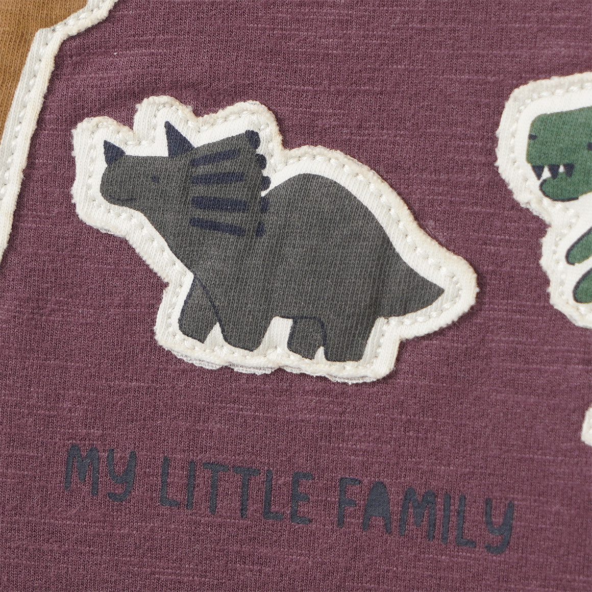 Baby Sweatshirt mit Dino-Applikation