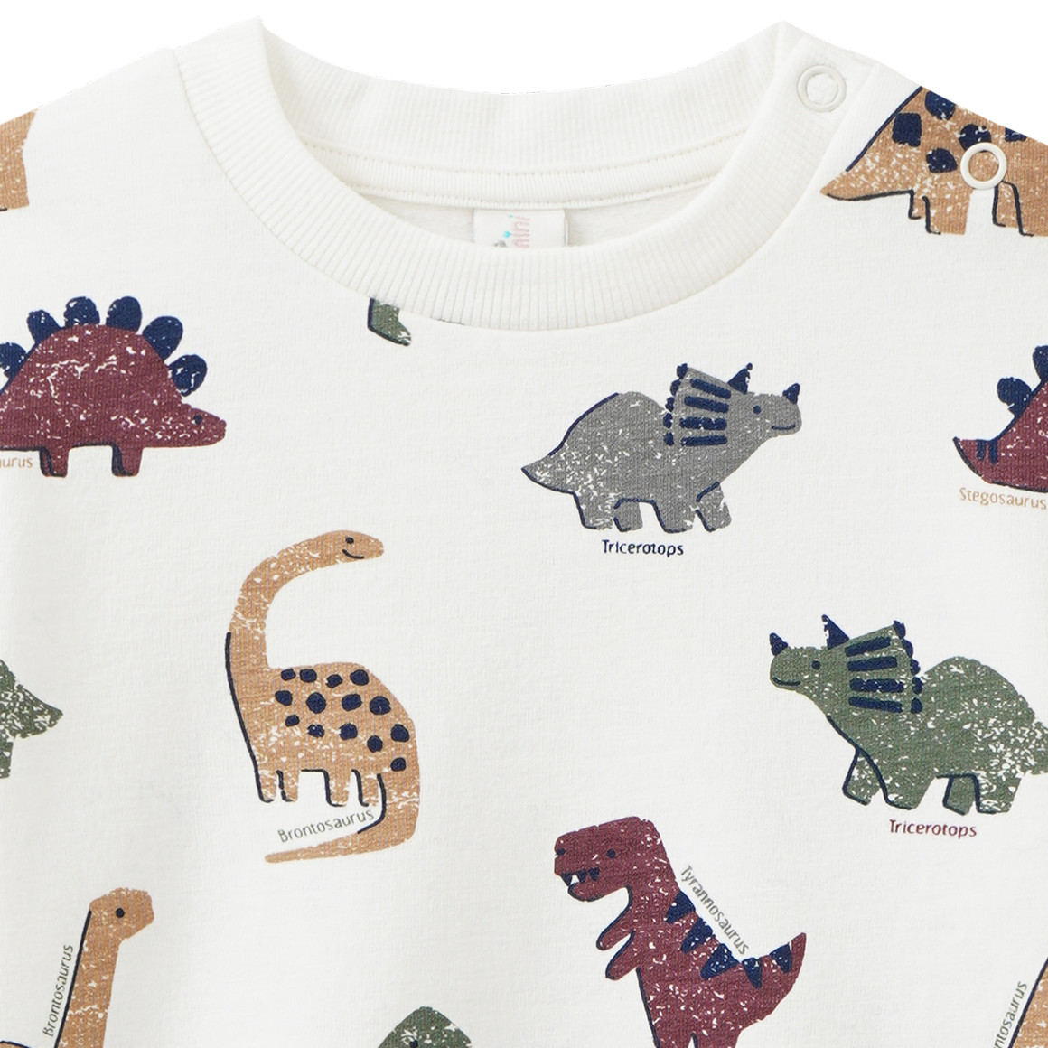 Baby Sweatshirt mit Dino-Allover