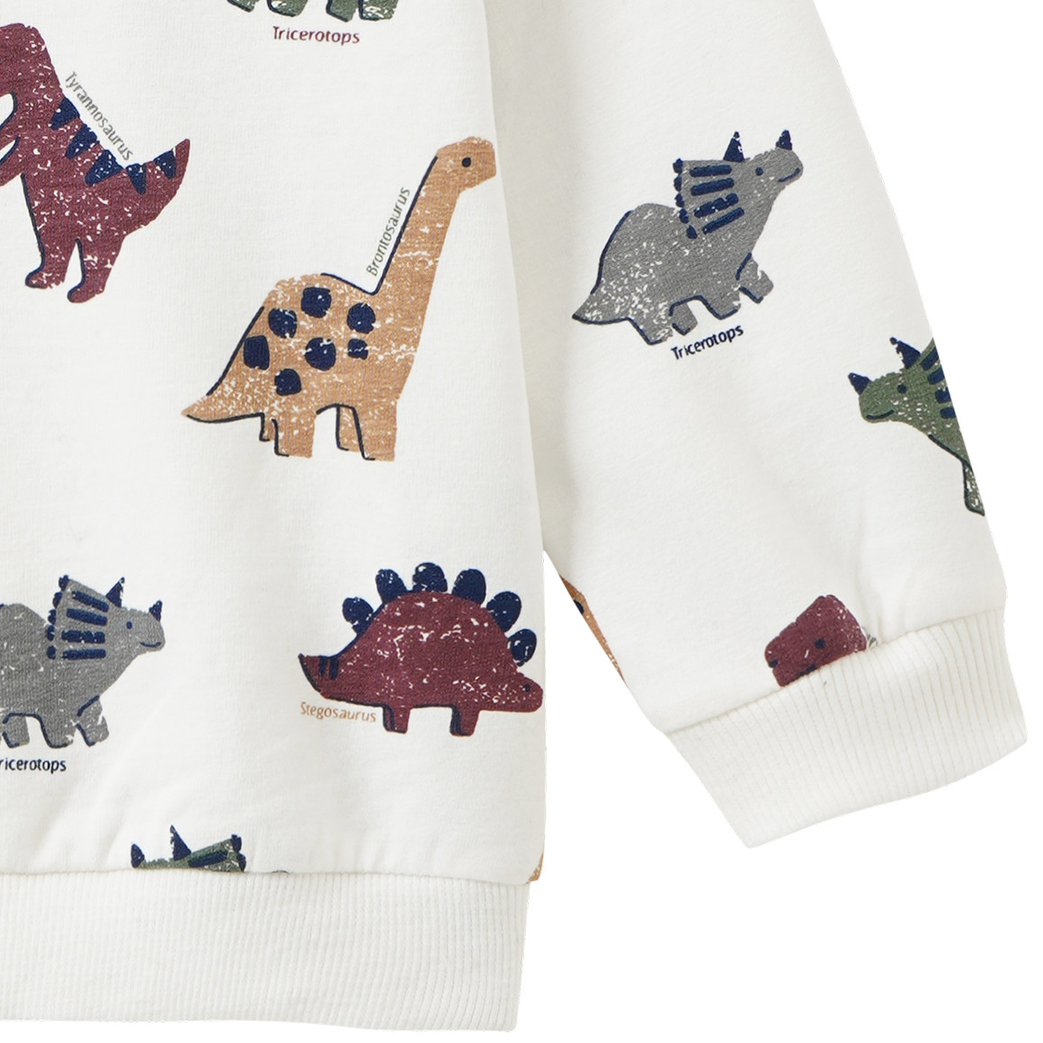 Baby Sweatshirt mit Dino-Allover