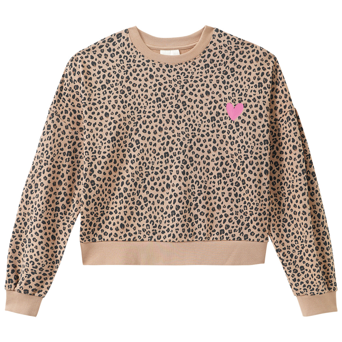 Mädchen Sweatshirt mit Leo-Print