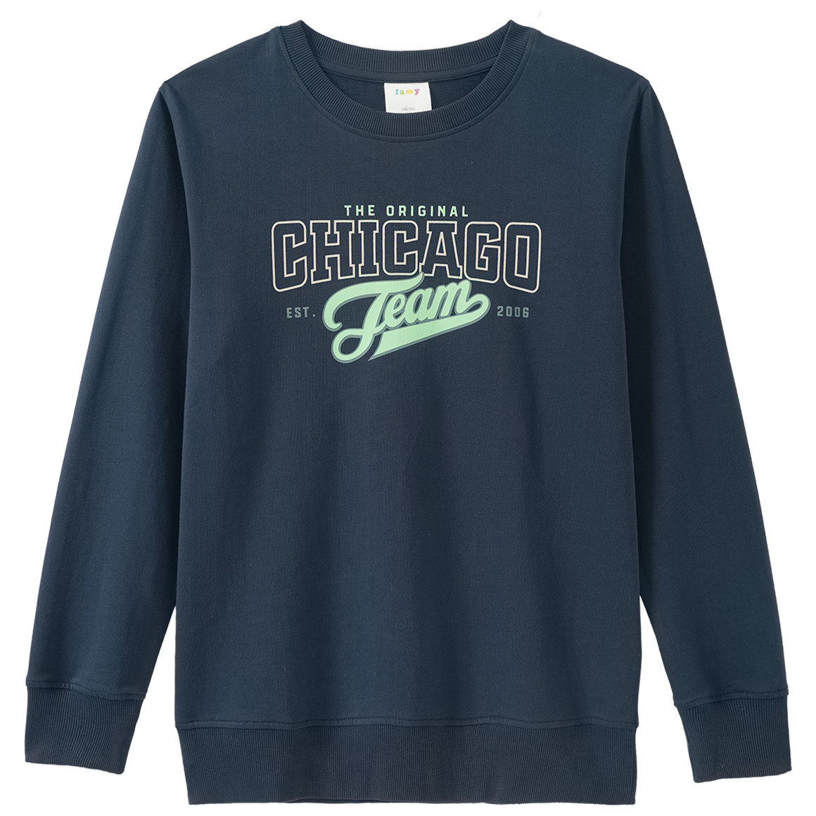 Jungen Sweatshirt mit Print