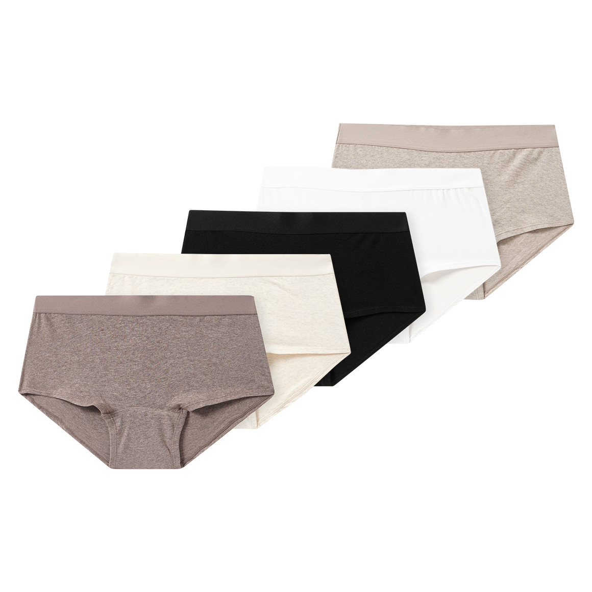 5 Damen Shorts aus Baumwolle
