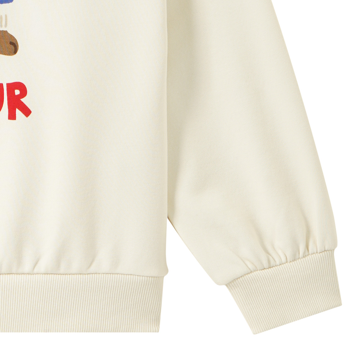 Kinder Sweatshirt mit Dackel-Print