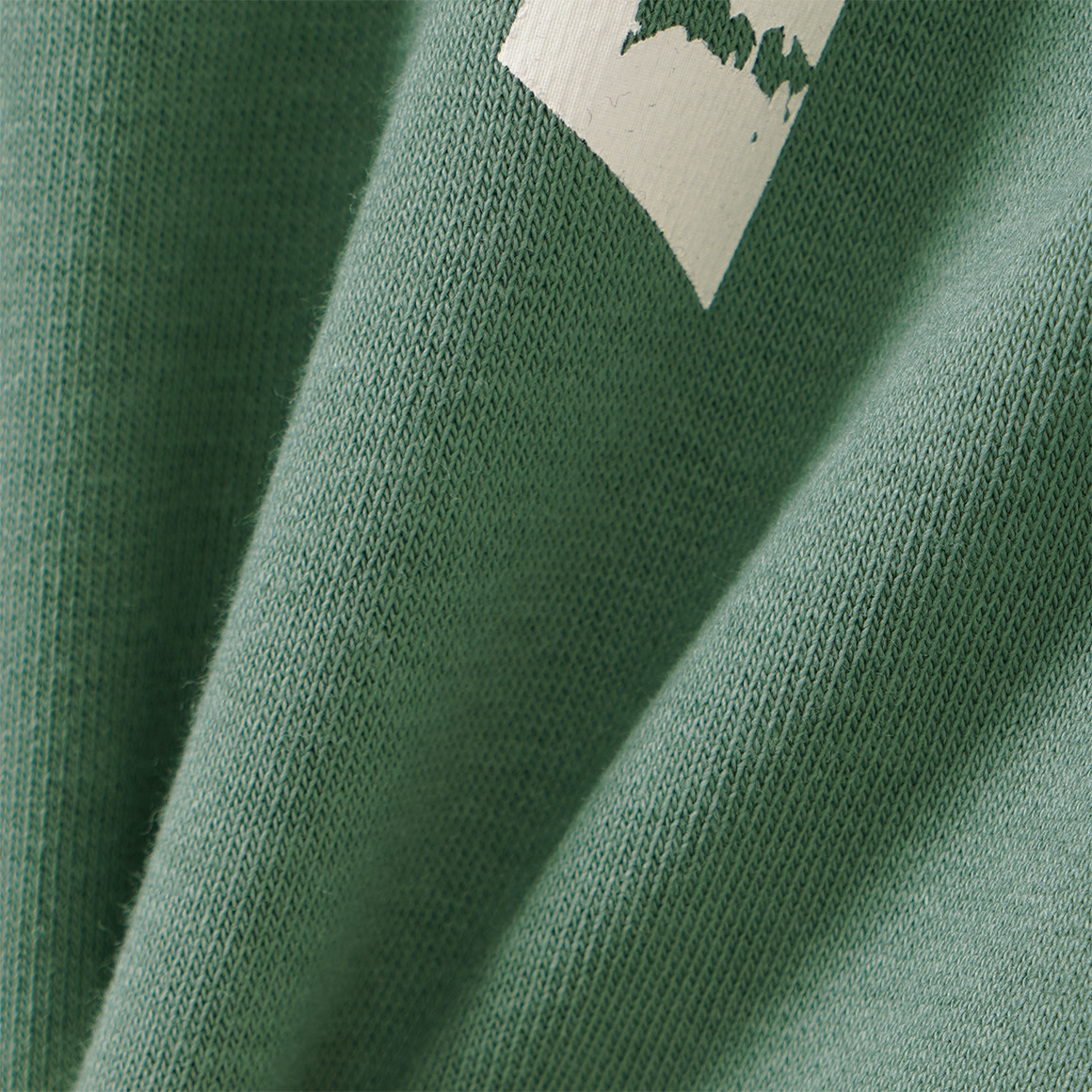 Jungen Sweatshirt mit Dino-Motiv
