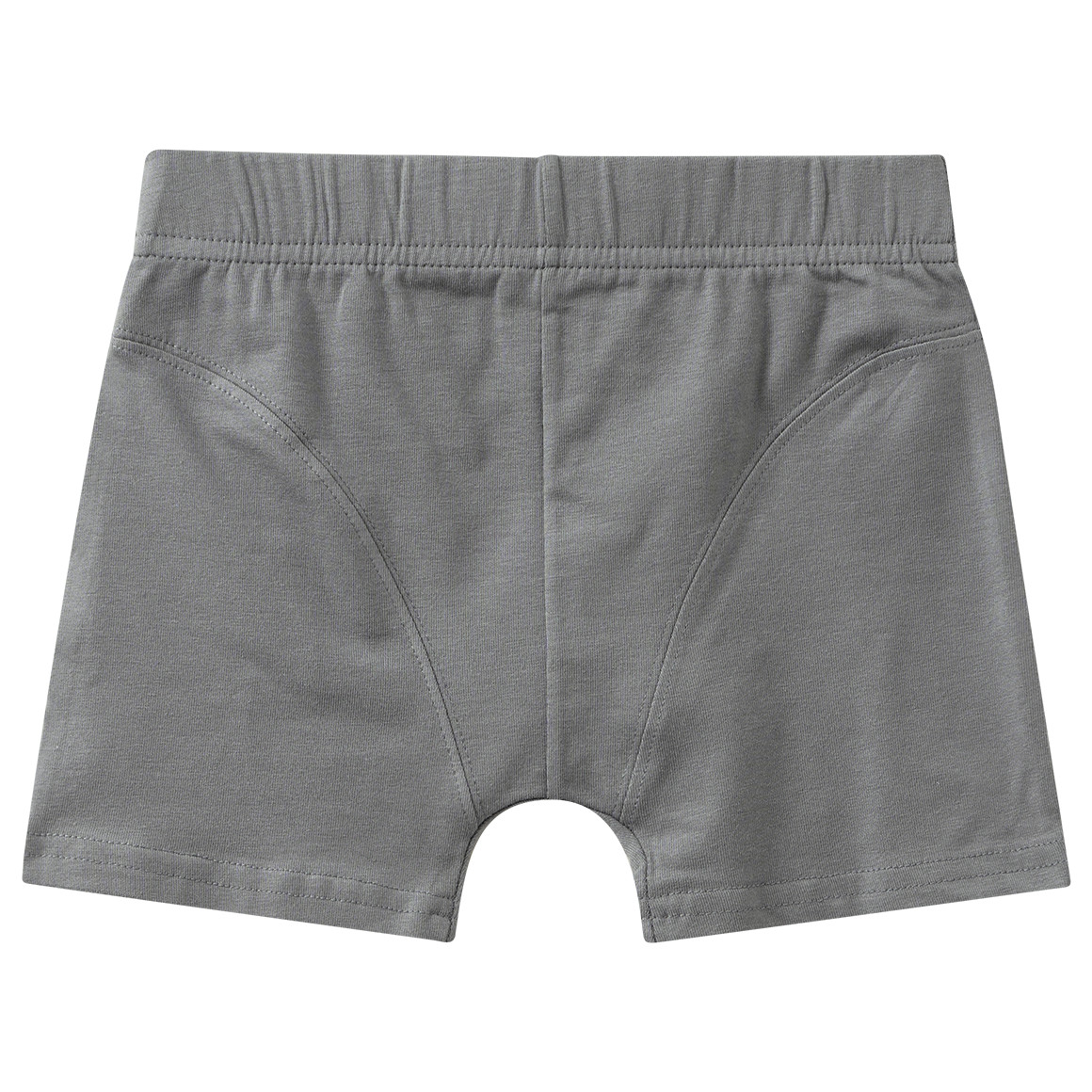 5 Jungen Boxer