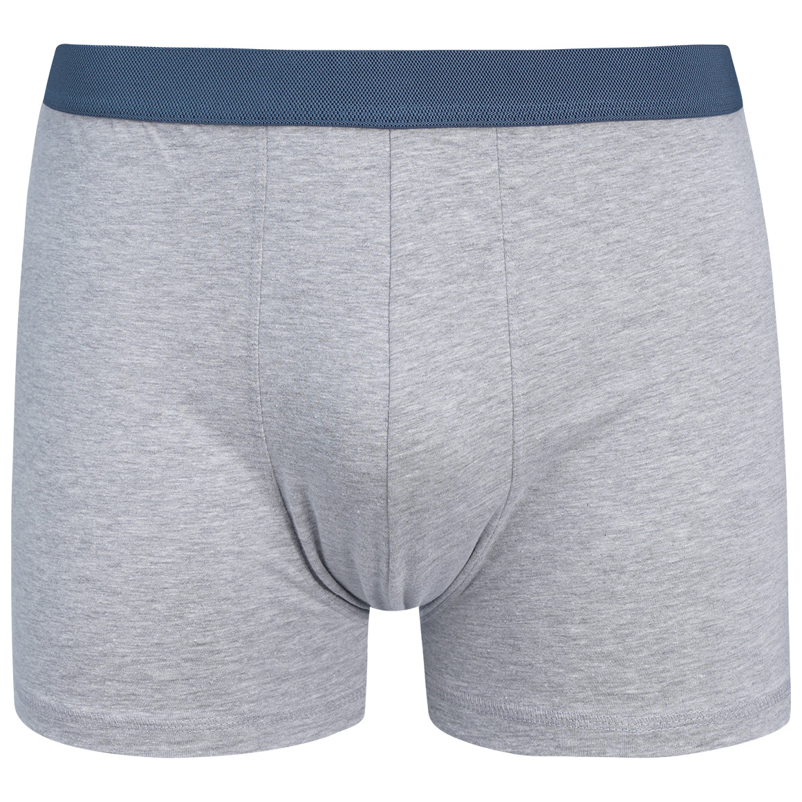 Herren Retroshorts mit Webbund