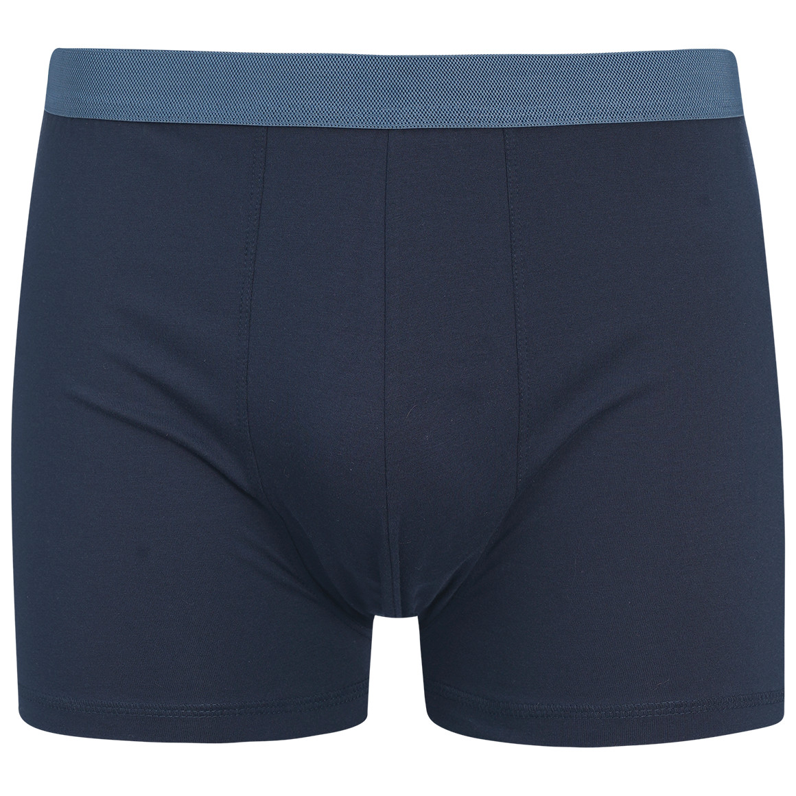 Herren Retroshorts mit Webbund