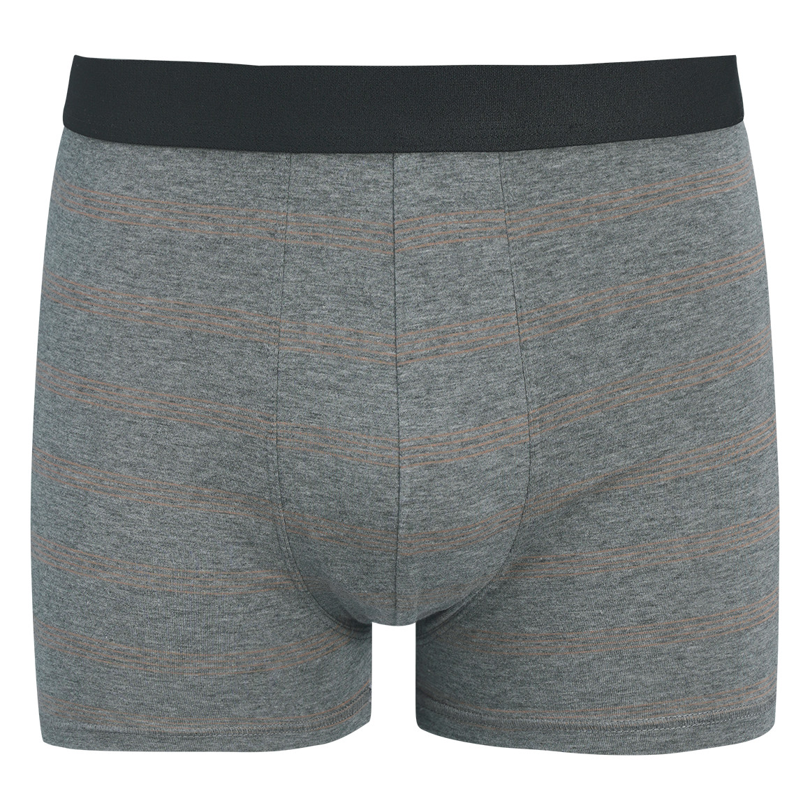Herren Retroshorts mit Webbund