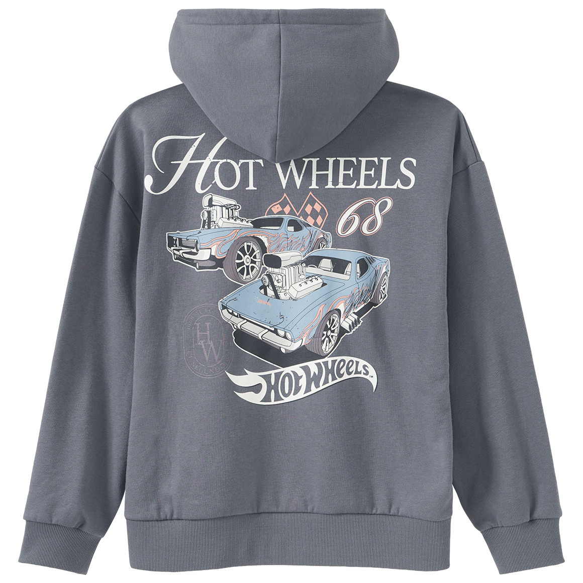 Hot Wheels Hoodie mit Rückenprint