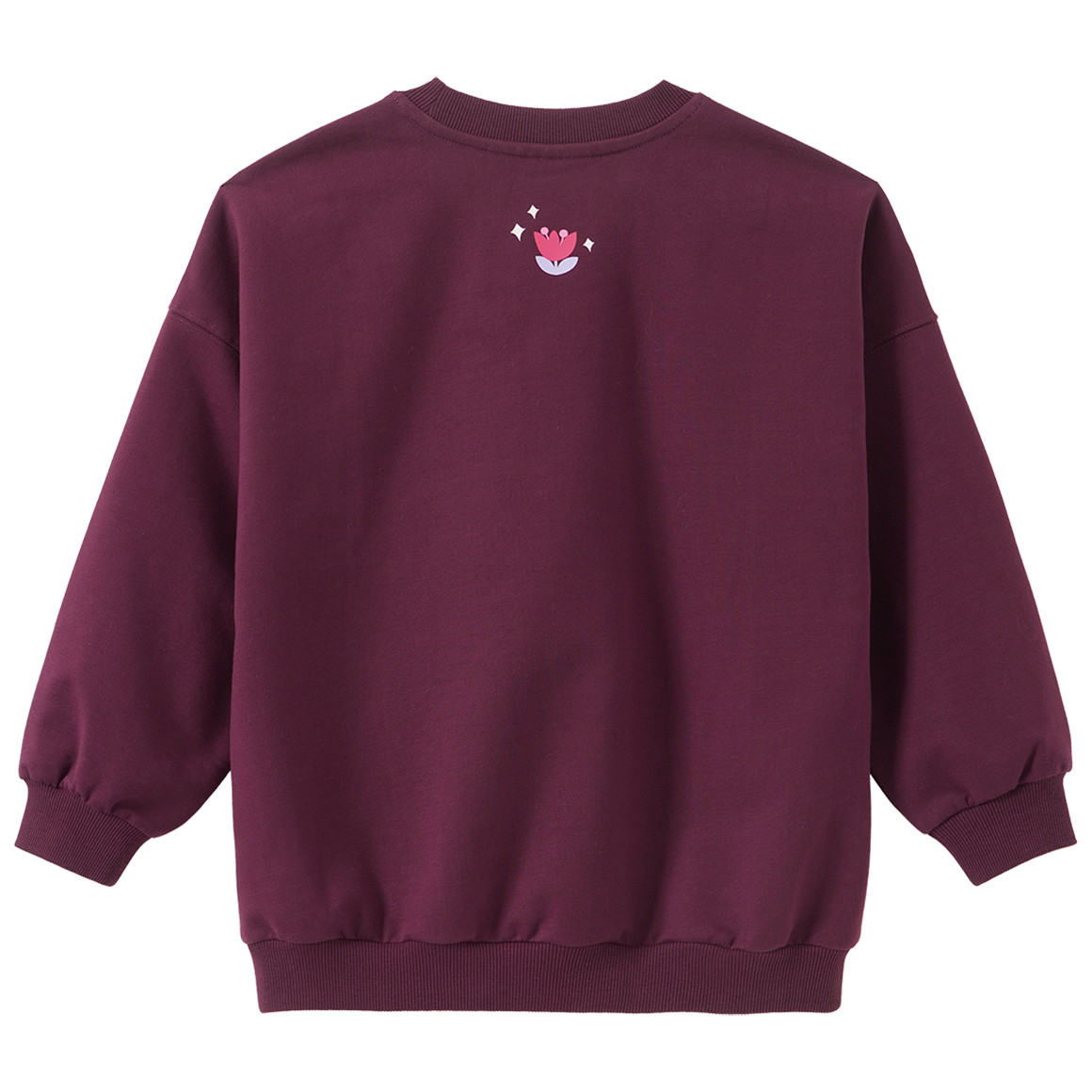 Mädchen Sweatshirt mit Frontprint