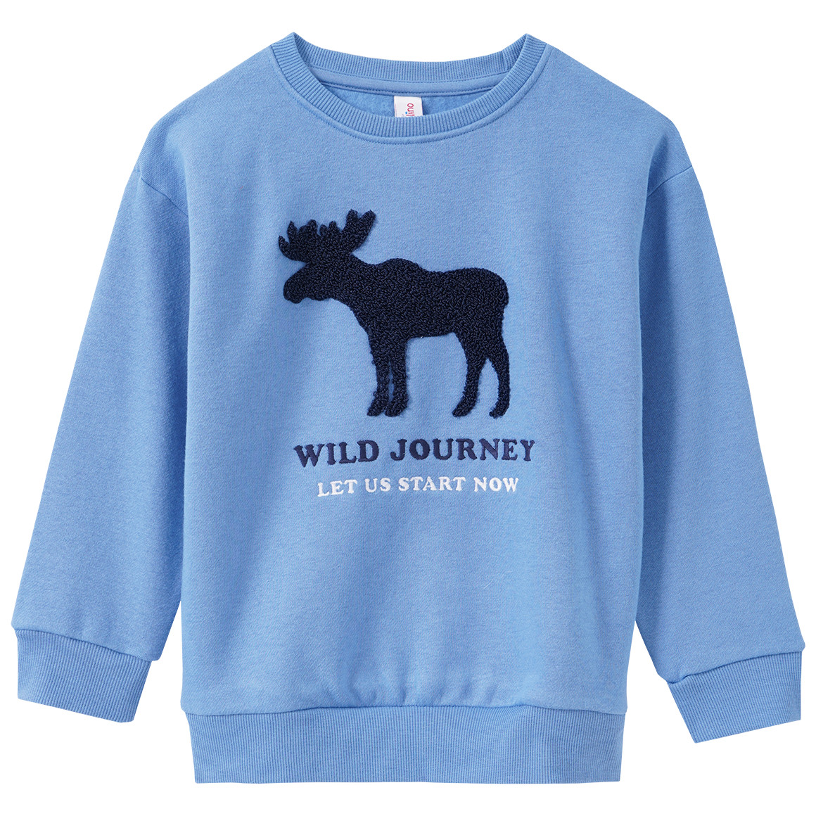 Jungen Sweatshirt mit Frottee-Applikation