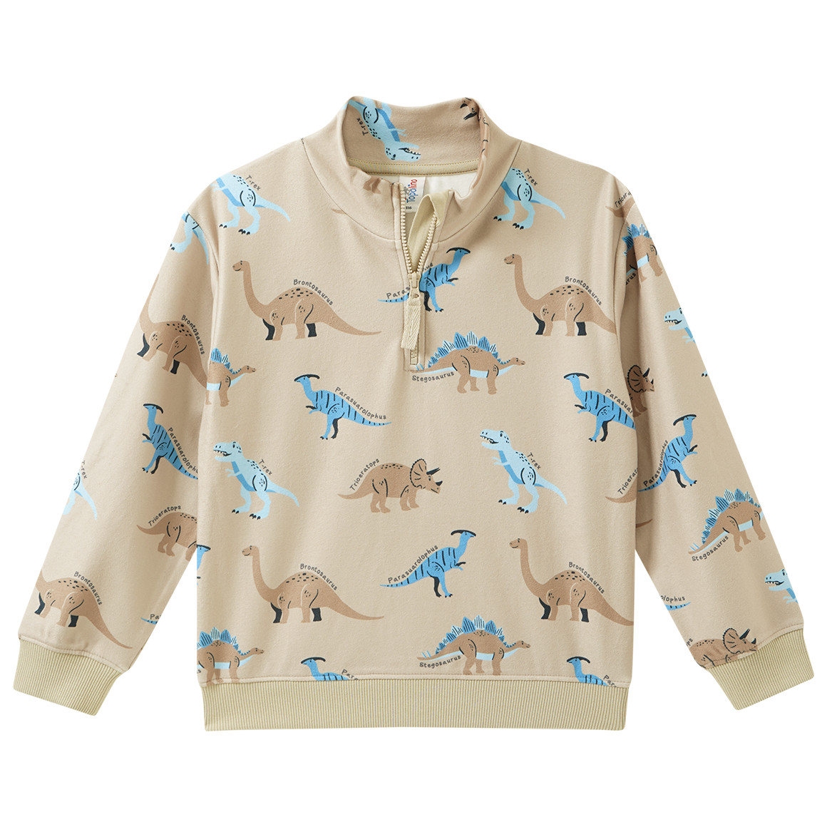 Jungen Sweatshirt mit Dino-Allover