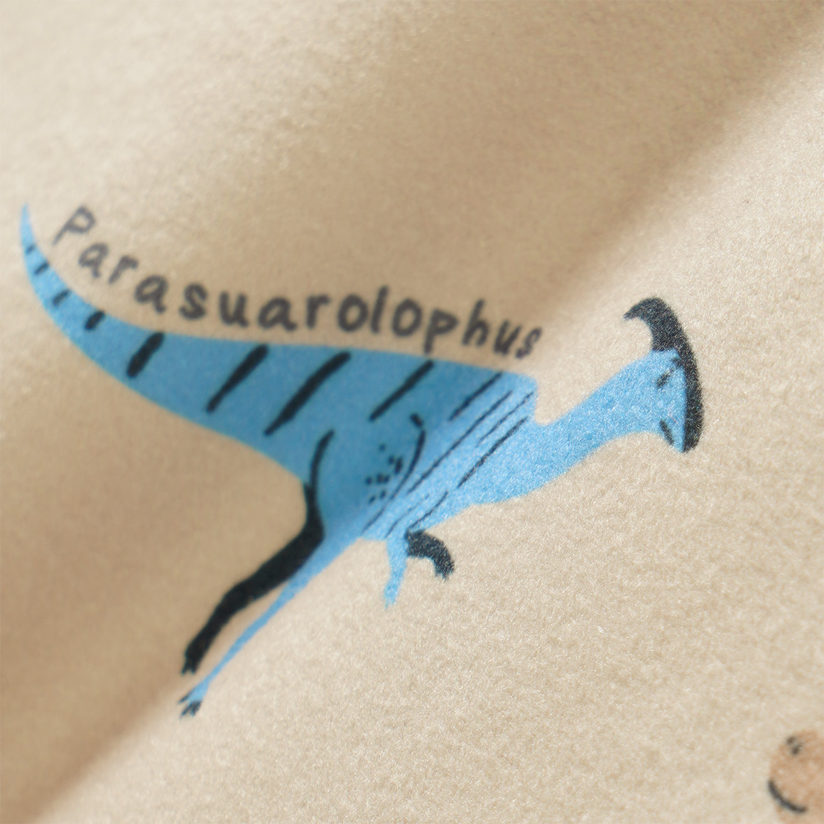 Jungen Sweatshirt mit Dino-Allover