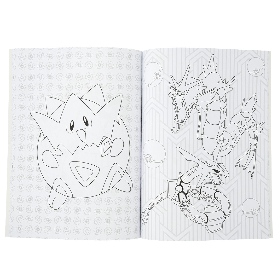 Pokémon Malbuch