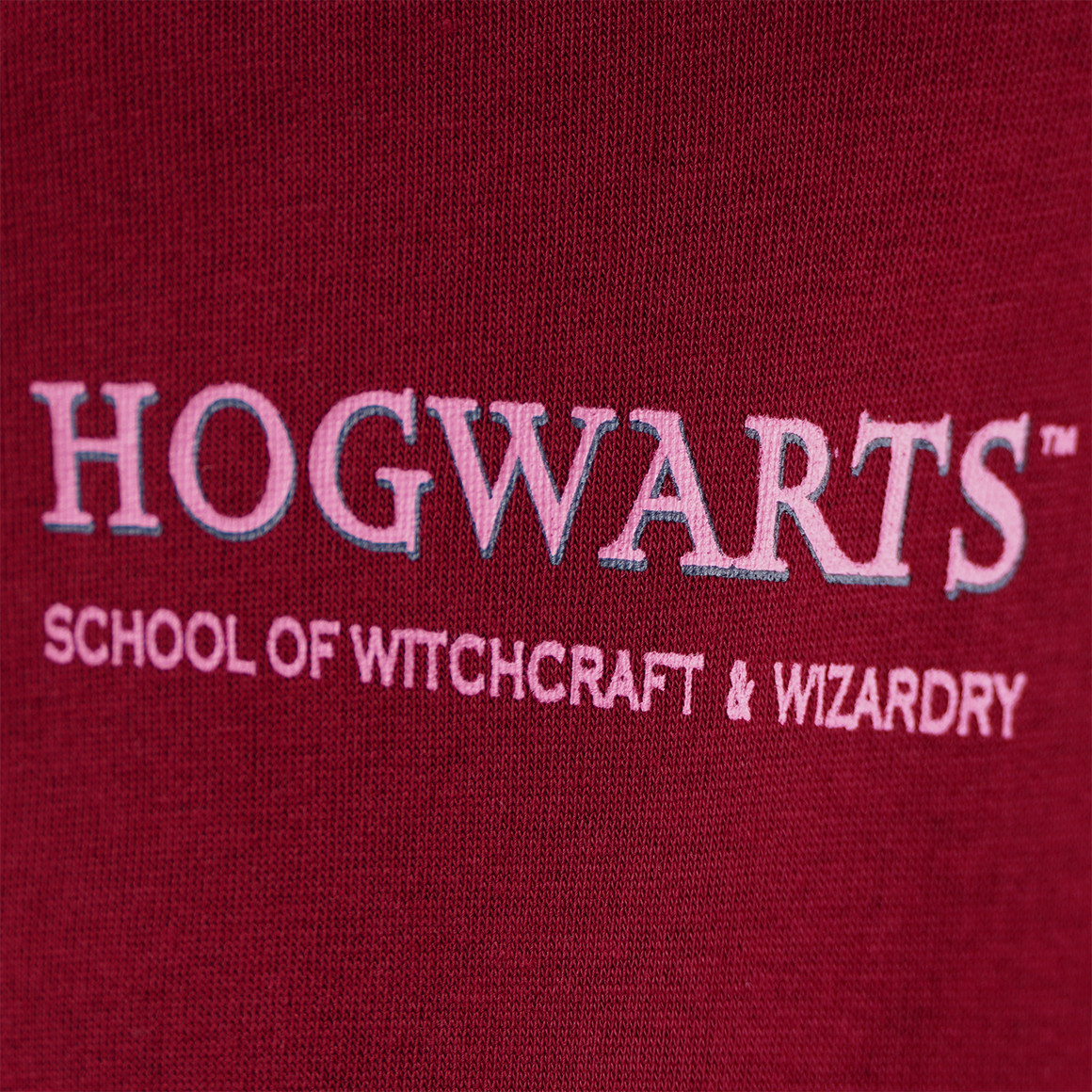 Harry Potter Hoodie mit Rücken-Print