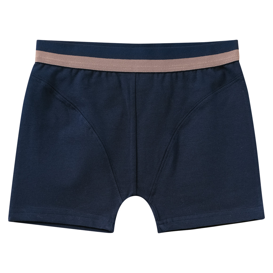 3 Jungen Boxer mit Dino-Motiven 