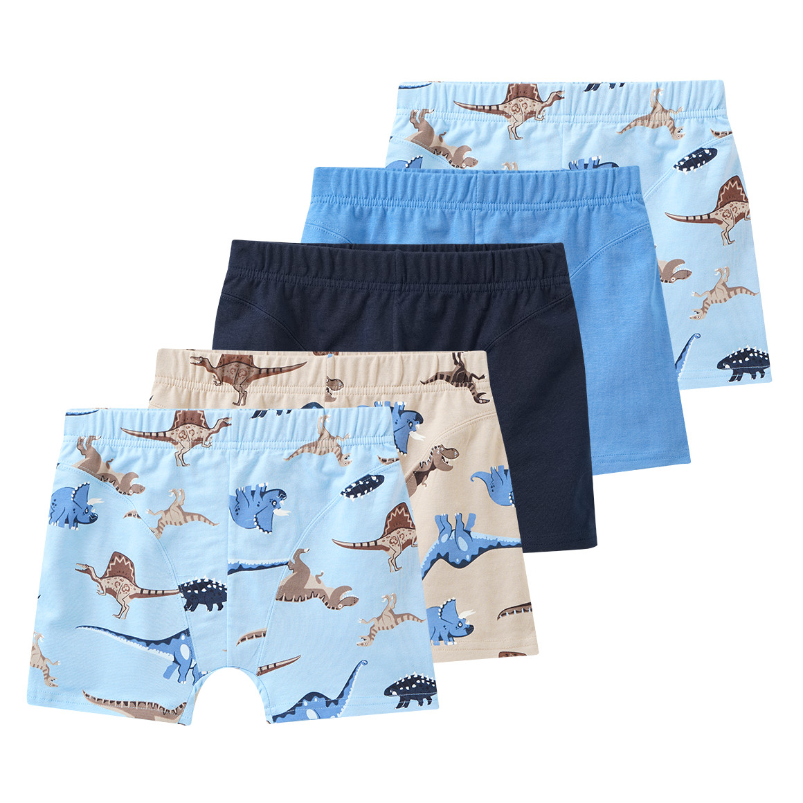 5 Jungen Boxer im Set