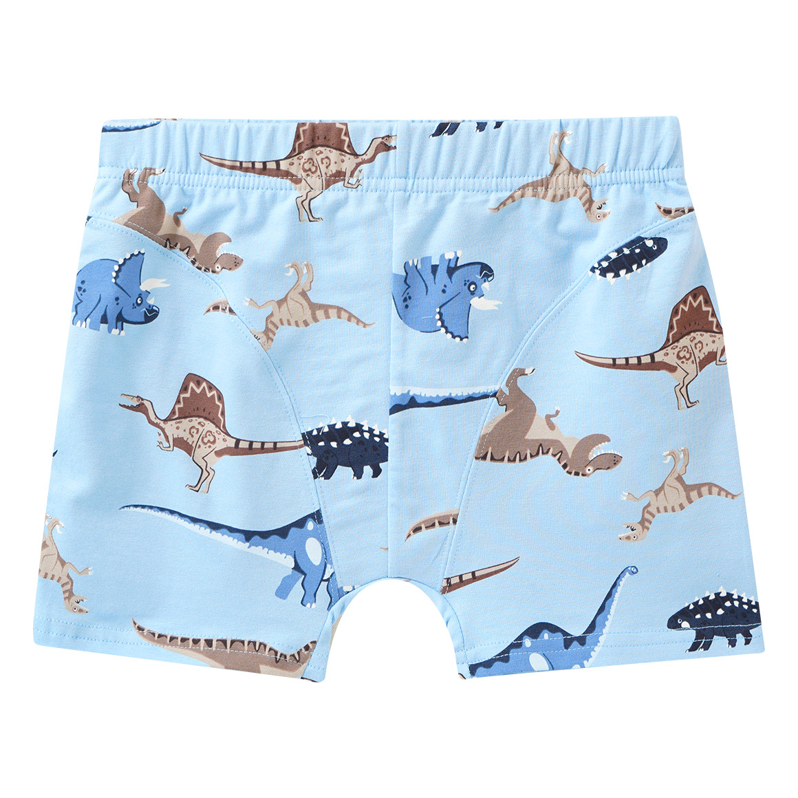 5 Jungen Boxer im Set